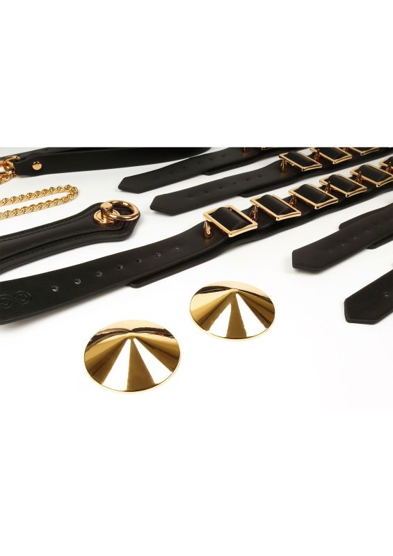 Шкаф-чемодан для БДСМ-аксессуаров TABOOM Desires Masterpiece Case, 11 предметов вид 17