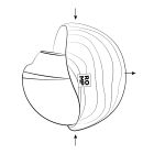 Вакуумный стимулятор клитора ROMP Spin в тревел-формате, розовый вид 32