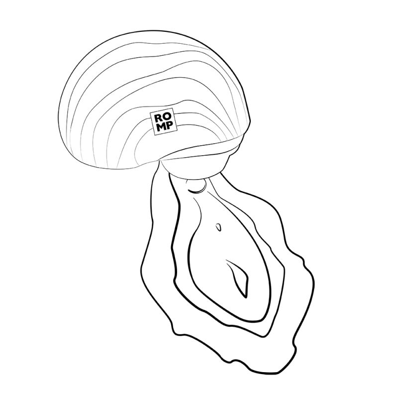 Вакуумный стимулятор клитора ROMP Spin в тревел-формате, розовый вид 35