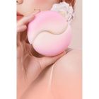 Набор 2в1 Zemalia Bao Yue +APP с вибро и вакуумным стимулятором, градиент розовый вид 5