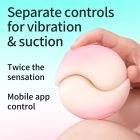 Набор 2в1 Zemalia Bao Yue +APP с вибро и вакуумным стимулятором, градиент розовый вид 24