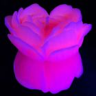 Свеча роза люминесцентная GlowKink 62 г, низкотемпературная, L, для БДСМ, персиковая вид 2