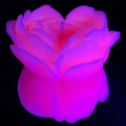 Свічка троянда люмінесцентна GlowKink 62 г, низькотемпературна, L, для БДСМ, персикова