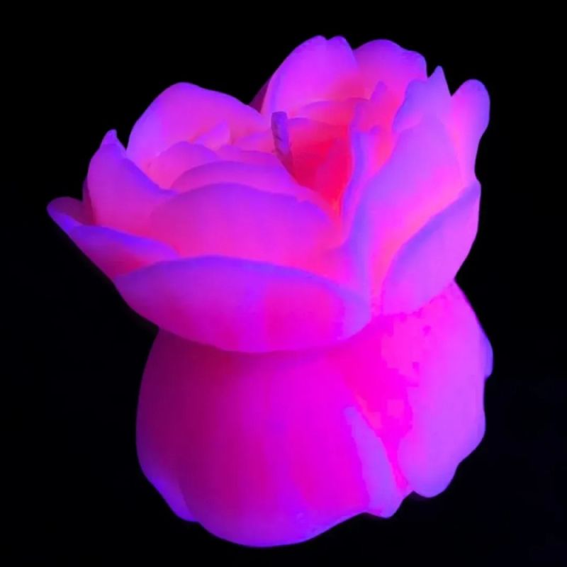 Свічка троянда люмінесцентна GlowKink 62 г, низькотемпературна, L, для БДСМ, персикова вид 5