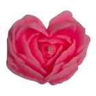 Свічка троянда люмінесцентна GlowKink 62 г, низькотемпературна, L, для БДСМ, персикова вид 15