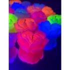 Свеча роза люминесцентная GlowKink 62 г, низкотемпературная, L, для БДСМ, персиковая вид 22