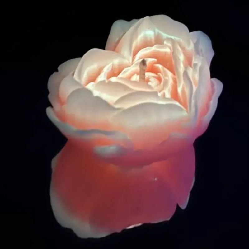 Свеча роза люминесцентная GlowKink 62 г, низкотемпературная, L, для БДСМ, оранжевая вид 2