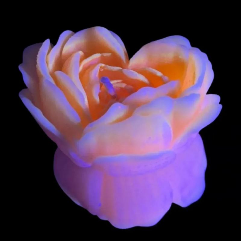 Свеча роза люминесцентная GlowKink 62 г, низкотемпературная, L, для БДСМ, оранжевая вид 4