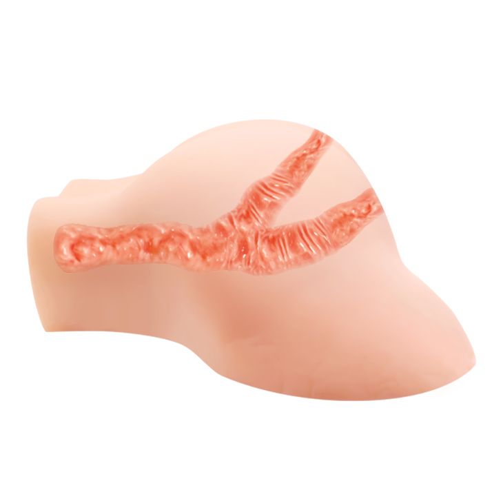 Мастурбатор вагіна і анус Crazy Bull Julie з вібрацією і пультом, бежевий, 28 см вид 7