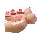 Мастурбатор-торс CRAZY BULL Grace, реалістичний, 37.5 х 24 см вид 11