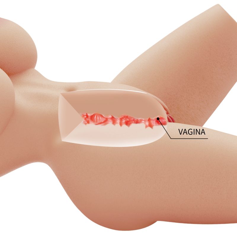 Мастурбатор-торс CRAZY BULL Lily, вагіна, реалістичний, 41 × 20 см вид 8