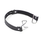 Кляп-розширювач на гачках DS Fetish, металевий на чорних ременях вид 3