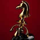 Уретральный катетер Конь из коллекции ,,Шахматы,, с двумя насадками UPKO Knight The Chess вид 4