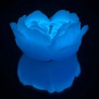Низькотемпературна БДСМ-свічка у формі троянди GlowKink, люмінесцентна, L, 62 г, блакитна вид 6