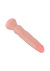 Реалістичний фалоімітатор із присоскою ToyJoy Get Real Starter Dong, бежевий, 16 × 3 см вид 6