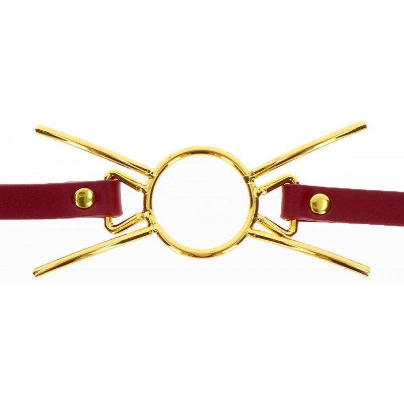 Кляп с кольцом Taboom Open Mouth Spider Gag вид 6