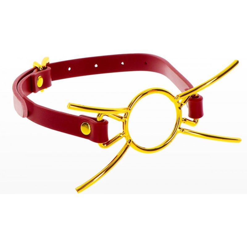 Кляп с кольцом Taboom Open Mouth Spider Gag вид 5