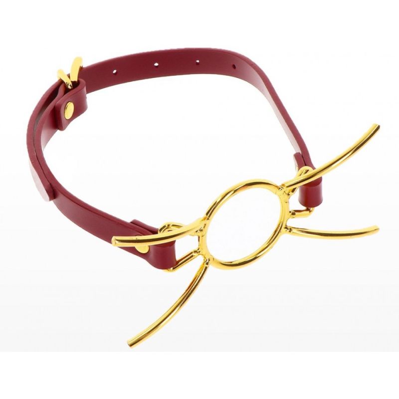 Кляп с кольцом Taboom Open Mouth Spider Gag вид 4