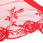 Красный сексуальный кружева с вышивкой пояс для чулок и трусики, 2XL (без коробки) вид 8