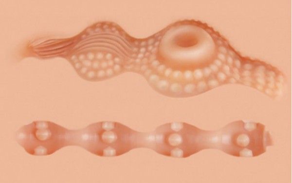 Мастурбатор в форме груди Kokos Juliana Breast с вибрацией вид 16