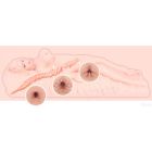 Мастурбатор мини-кукла Kokos Nancy вид 4