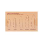 Сменные насадки на Womanizer Premium и Classic, красные, размер S вид 5