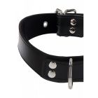 Ошейник с фиксатором Taboom, черный вид 5