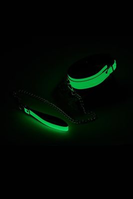 Нашийник з повідцем, що світиться у темряві Dream Toys Radiant Glow In The Dark Collar & Leash зелений
