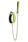 Ошейник с поводком, светящийся в темноте Dream Toys Radiant Glow In The Dark Collar & Leash зеленый вид 4