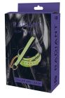 Ошейник с поводком, светящийся в темноте Dream Toys Radiant Glow In The Dark Collar & Leash зеленый вид 8
