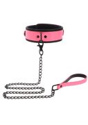 Нашийник з повідцем, що світиться в темряві Taboom Glow In the Dark Collar and Chain Leash, рожевий