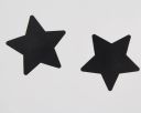 Пестисы в форме звезды Star Night, черный