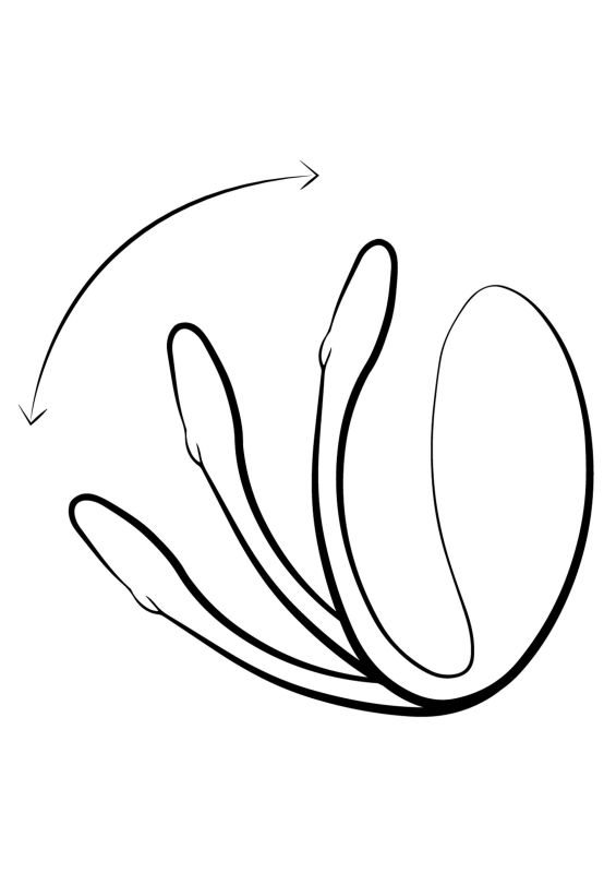 Смарт-вибратор для пар We-Vibe Jive Lite, фиолетовый вид 13