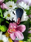 Вібратор у трусики з пультом та функцією керування зі смартфона Satisfyer Little Secret чорний вид 3