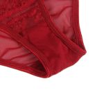 Сексуальные кружевные трусики Star Night с поясом и подвязками для чулок, красный вид 8