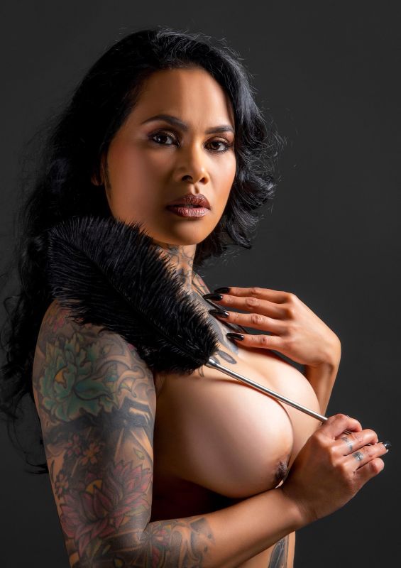 Тиклер-перо черное Taboom Luxury Bondage Essentials на длинной серебристой ручке вид 4