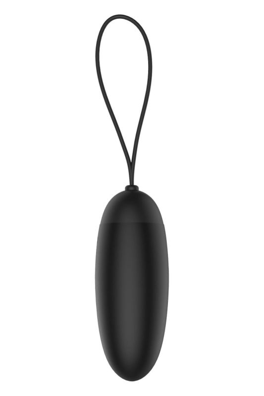 Віброяйце з бездротовим пультом Dream Тoys Еssentials чорне вид 5