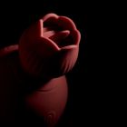 Вібратор для клітора-квітка двосторонній Sweet Em Velvet Lure, рожевий вид 11