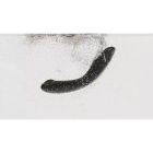 Вибратор для точки G с вакуумной стимуляцией Womanizer OG Slate вид 12