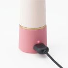 Вібратор для точки G Iroha Rin + Tenga, медичний силікон, рожевий вид 4