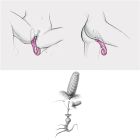 Вібратор кролик рельєфний Gcandy вид 9