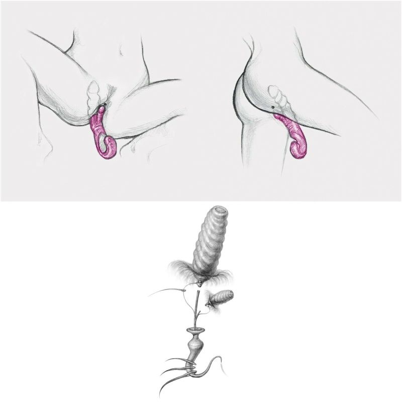 Вібратор кролик рельєфний Gcandy вид 9