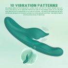 Вібратор з кліторальним відростком Chisa Kissen Kym з фрикціями та функцією підігріву, зелений вид 6