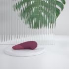 Вібратор універсальний безшумний Womanizer Vibe Dusky, рожевий вид 11