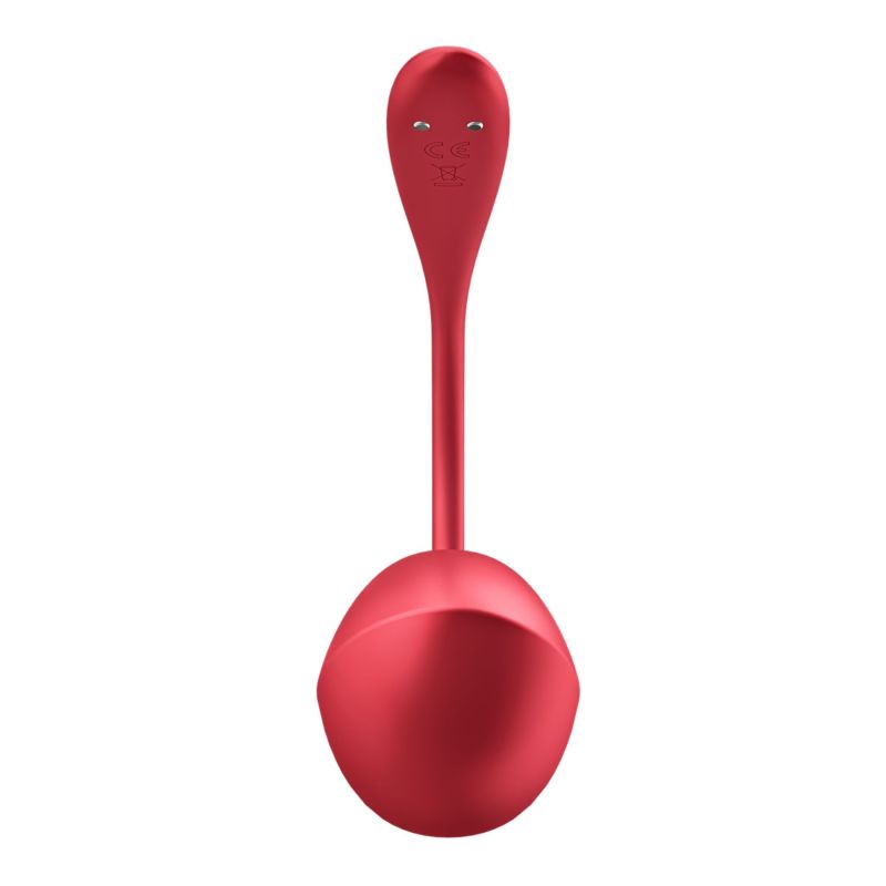 Вібратор в трусики Satisfyer Shiny Petal з додатком та пультом, червоний вид 4