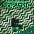 Жидкий вибратор с согревающим эффектом Intt Vibration Ganjah с ароматом конопли, 15 мл вид 3
