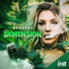 Жидкий вибратор с согревающим эффектом Intt Vibration Ganjah с ароматом конопли, 15 мл вид 4